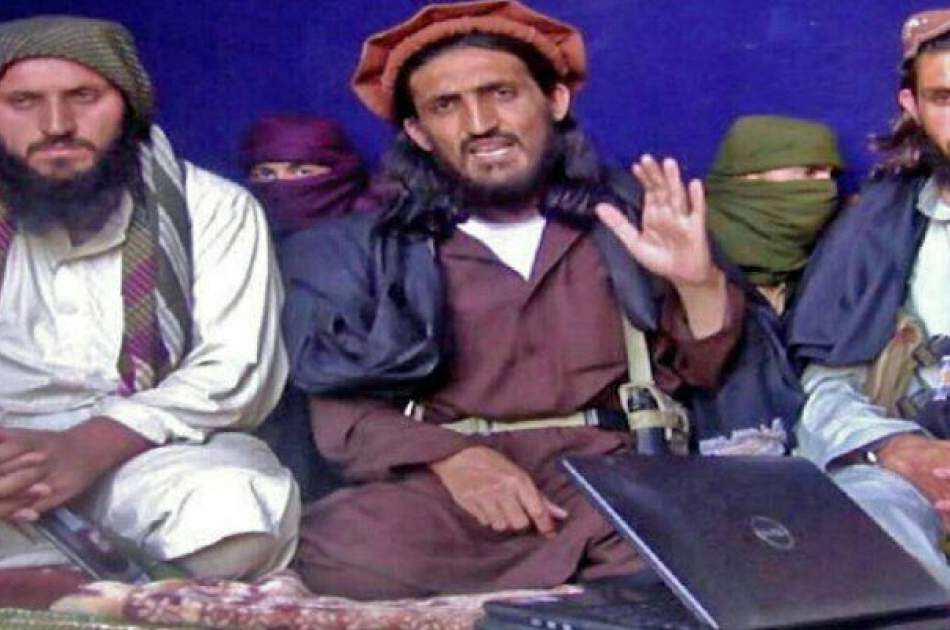 فرمانده ارشد طالبان پاکستان در پکتیکا کشته شد