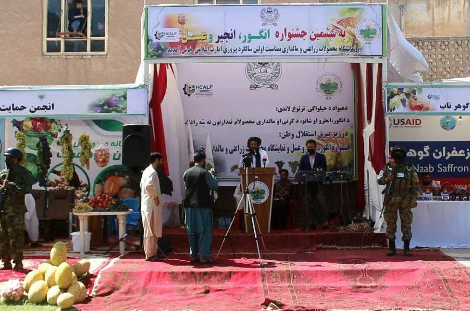 برگزاری ششمین نمایشگاه انگور در هرات؛ تولیدات انگور این ولایت 20 درصد افزایش یافته است