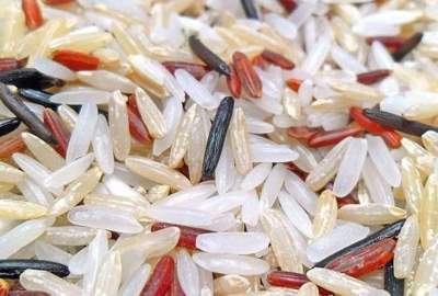 سازمان جهانی غذا برنج‌های فاسد به افغانستان ارسال کرده است