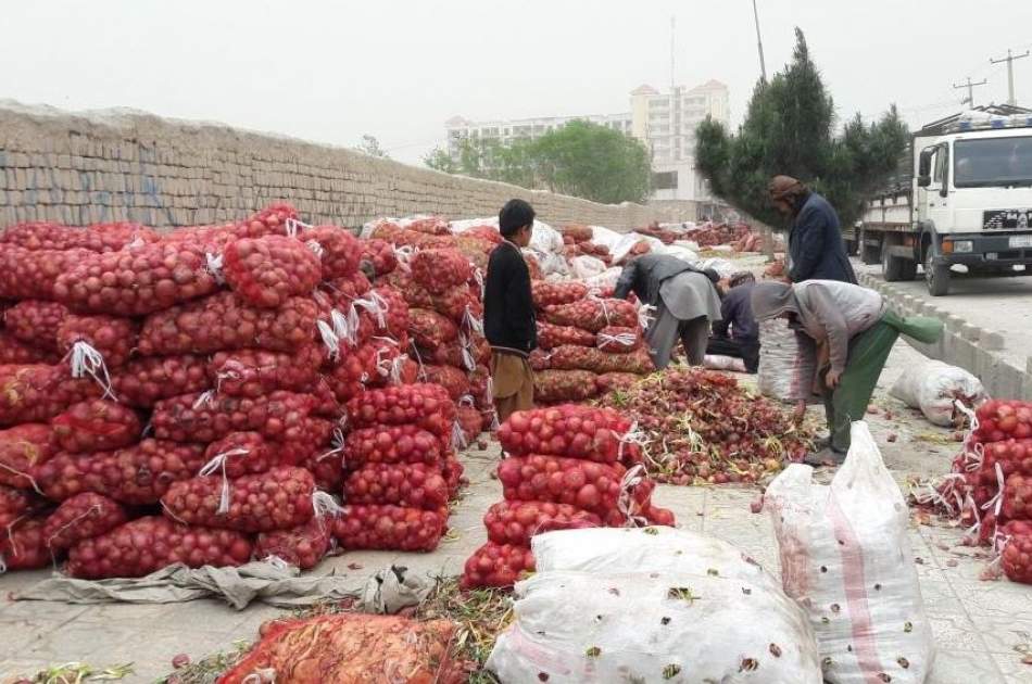 پاکستان مجوز واردات پیاز و بادنجان رومی از افغانستان را صادر می‌کند