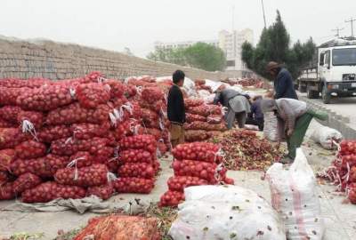 پاکستان مجوز واردات پیاز و بادنجان رومی از افغانستان را صادر می‌کند