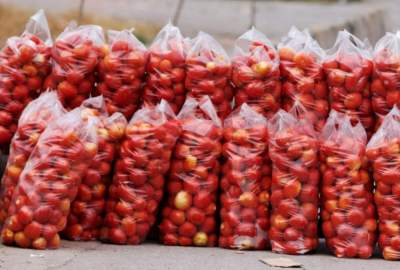 صادرات پیاز و بادنجان رومی افغانستان به پاکستان/ قیمت در بازارهای داخلی افزایش یافت