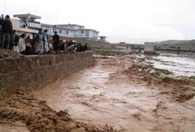 The casualties caused by the floods have reached 194 people