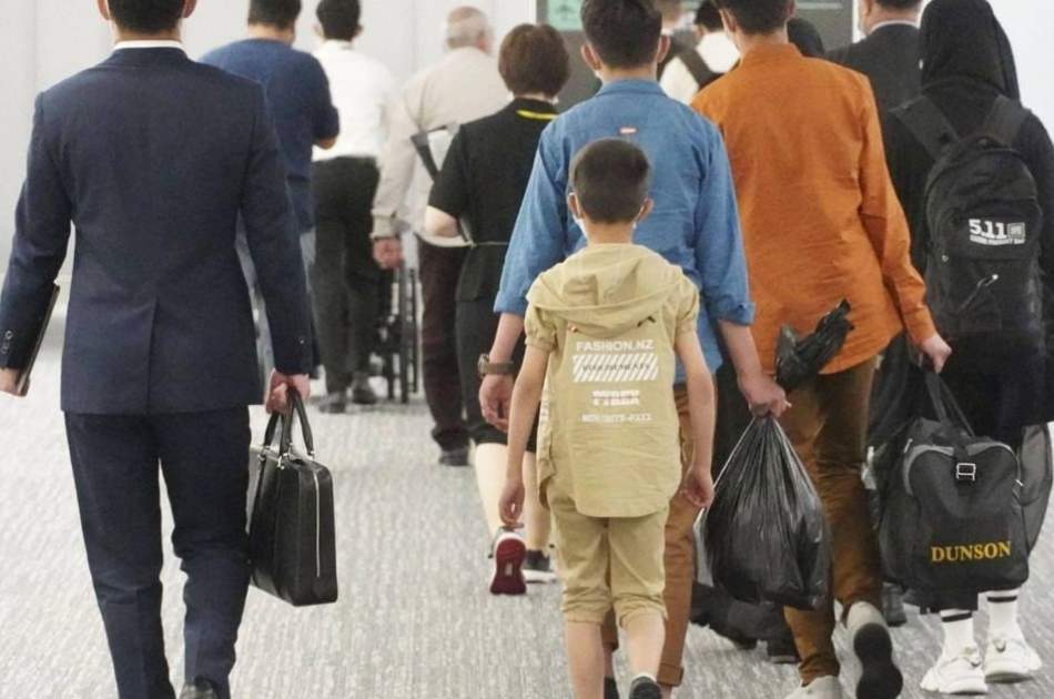 About half of the Afghan refugees were forced to leave Japan
