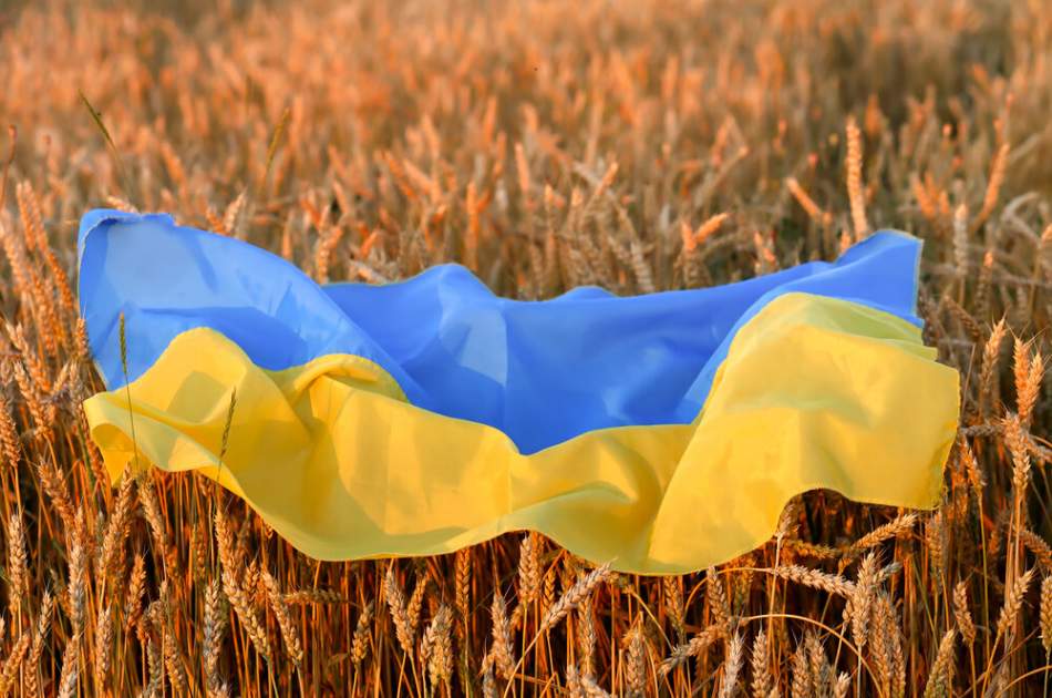 اوکراین ۳۰ هزار تُن گندم به افغانستان کمک کرد