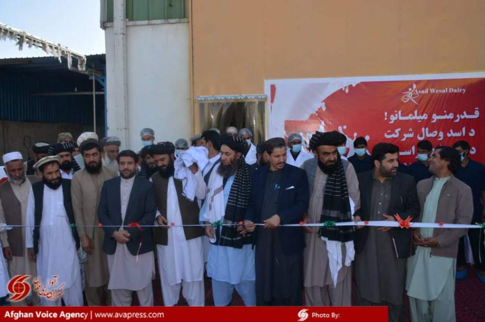 آغاز به کار یک شرکت تولیدات لبنیات در کابل؛ امارت اسلامی: از تولیدکنندگان داخلی حمایت می‌کنیم