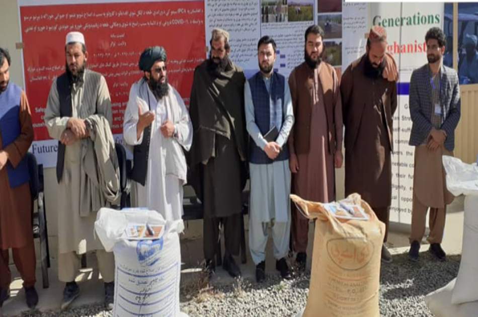 Wheat Seeds, Chemical Fertilizers distributed in Logar