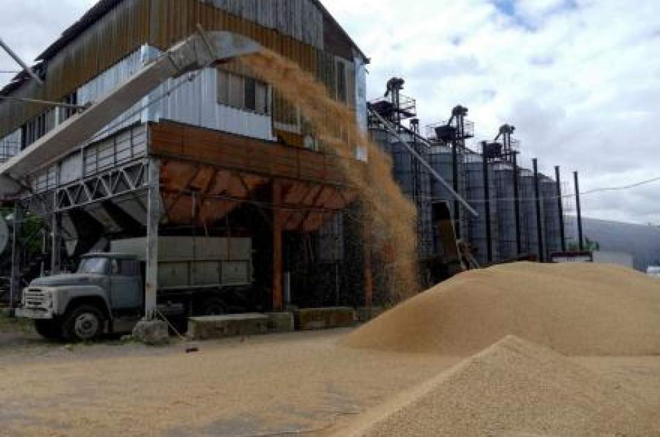 Ukraine Accuses Russia of Blocking Full Implementation of Grain Deal