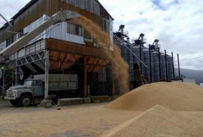 Ukraine Accuses Russia of Blocking Full Implementation of Grain Deal