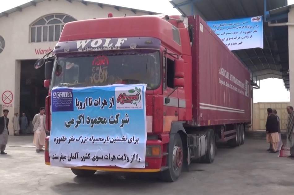 Afghanistan: tons of pine nuts were sent to Europe