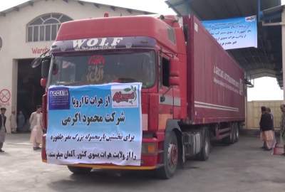 Afghanistan: tons of pine nuts were sent to Europe