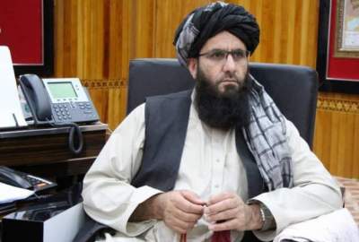 شیخ محمد قاسم خالد، به عنوان والی کابل تعیین شد