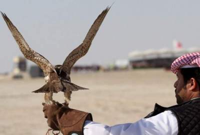 شکار پرندگان در کشور قانونمند می‌شود؛ 42 میلیون دالر، عایدی قرارداد با گردشگران خارجی