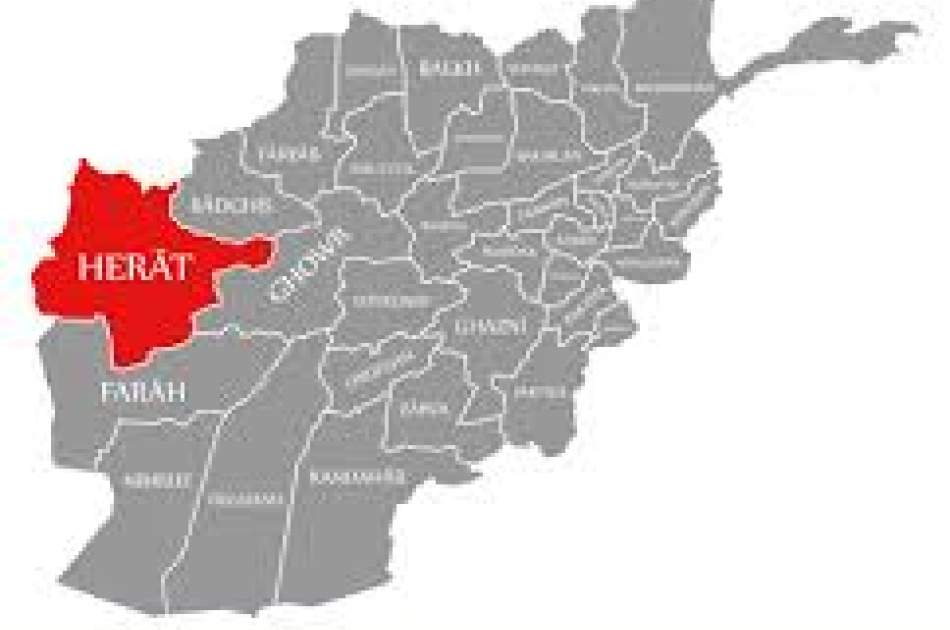 Govt: Distributing Electronic Permits in Herat