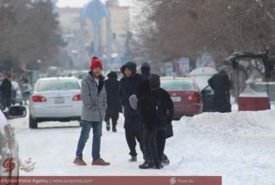 تصاویر/ حال و هوای مزارشریف در اولین روز بارش برف  