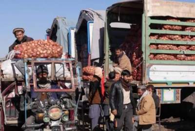 افزایش بهای پیاز در کابل؛ دولت واردات را از کشورهای دیگر آغاز کرد