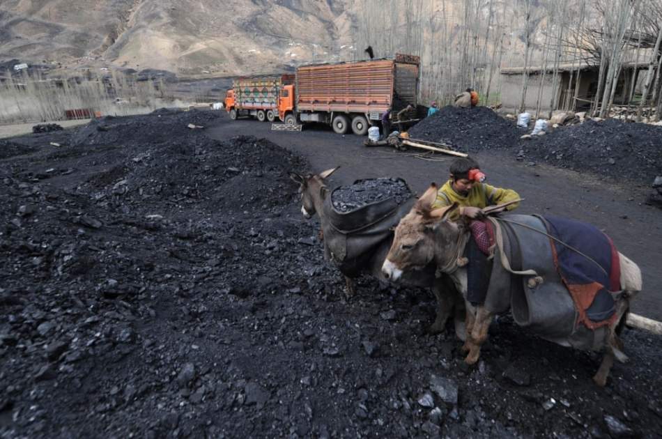 استخراج زغال‌سنگ بلخاب به شرکت انکشاف ملی واگذار شد