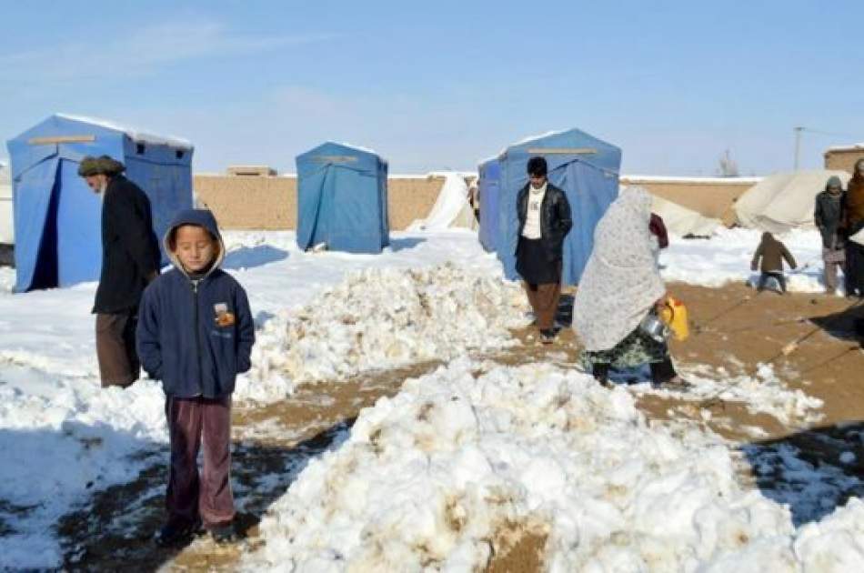 سرما در افغانستان؛ کمک‌ها به بی‌جاشدگان ادامه دارد