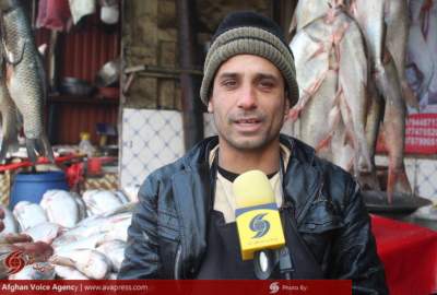 کاهش فروش ماهی در ولایت بلخ؛ مردم فقط به خاطر تداوی و سفارش داکتران ماهی می‌خرند
