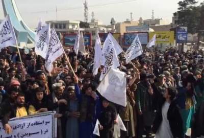 فیلم تظاهرات مردم هرات علیه هتک حرمت قرآن کریم در سویدن و هالند  