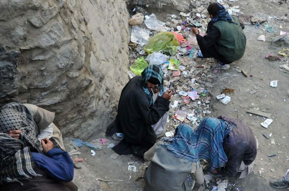 معتادان مواد مخدر از جمع‌آوری شان توسط حکومت خوشحال اند