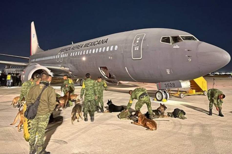 مکسیکو تیم سگ‌های زنده‌یاب به ترکیه اعزام کرد