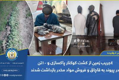 دستگیری 10 تن در پیوند به فروش مواد مخدر از ولایات مختلف افغانستان