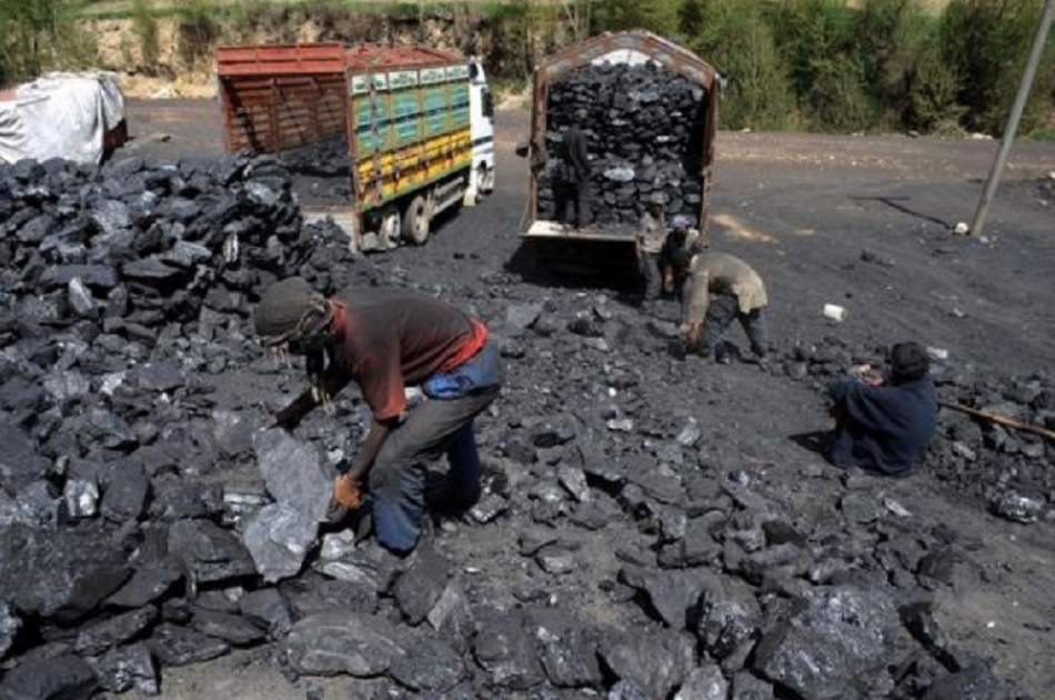 $136 million collected from coal exports
