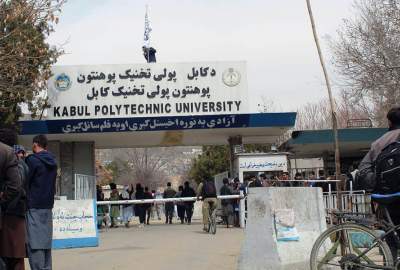 IEA announce reopening of Universities