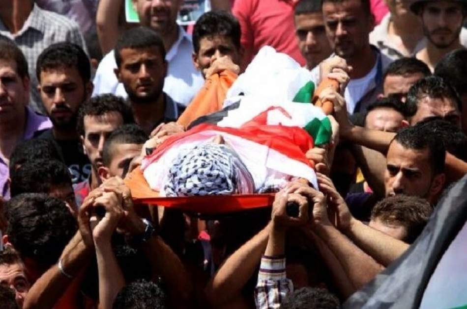 Martyrdom of 30 Palestinians in the last month by Zionist soldiers
