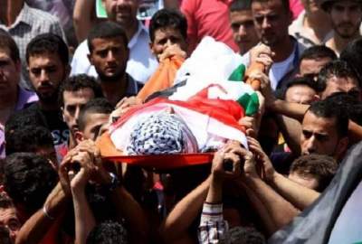 Martyrdom of 30 Palestinians in the last month by Zionist soldiers