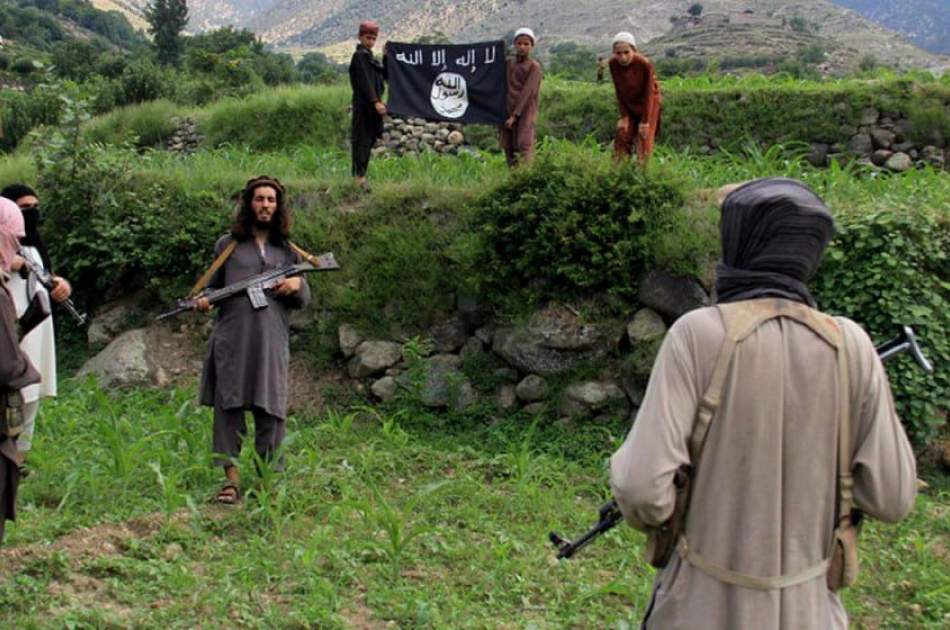 کارشناسان: امارت اسلامی توانسته جلو تحرکات داعش را بگیرد