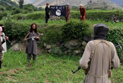 کارشناسان: امارت اسلامی توانسته جلو تحرکات داعش را بگیرد