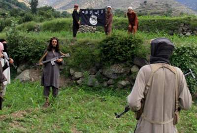 خبراء: الإمارة الإسلامية تمكنت من منع نشاطة داعش