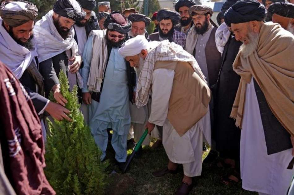 Mullah Mohammad Hassan Akhund planted a Sapling on the occasion of Arrival of the New Year