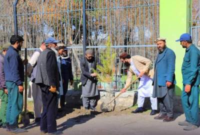 Provite Sectors Planted 2000 Saplings in Kabul