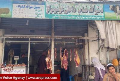 Prohibiting the sale of meat on Sundays in order to promote the culture of using vegetables in Kandahar