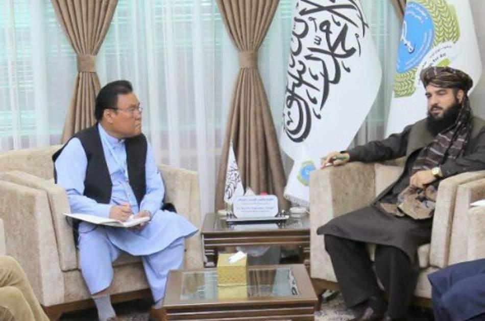 سازمان جهانی بهداشت در ارتقای کیفیت خدمات صحی با افغان‌ها همکاری کند
