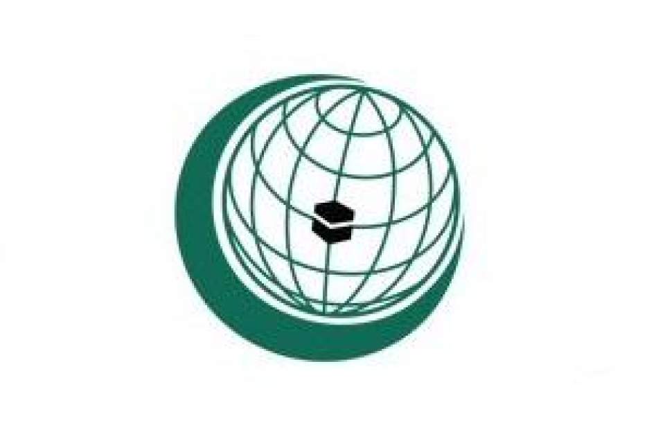 OIC slams violence against Muslims in India