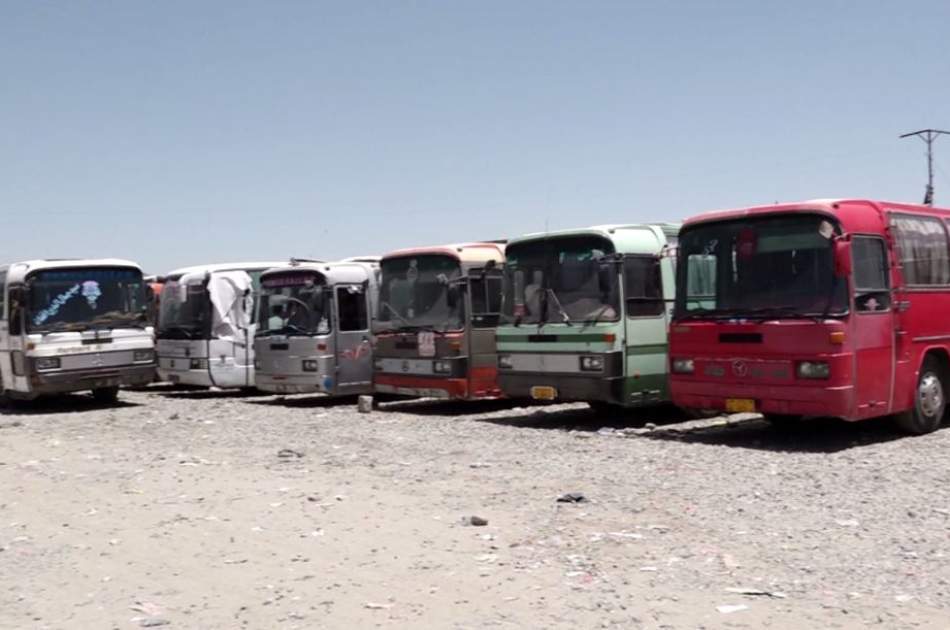 Ministry of Transportation: Efforts have begun to standardize the transportation sector