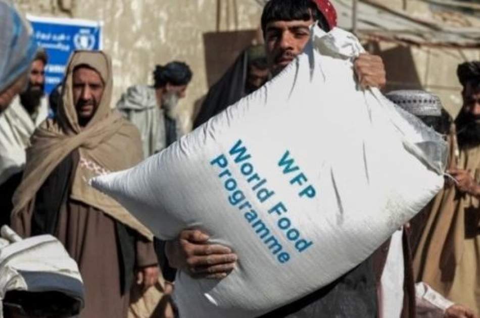WFP Pledge to Remain in Afghanistan