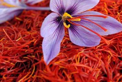 69 tons of Saffron Exports to India, UAE and China