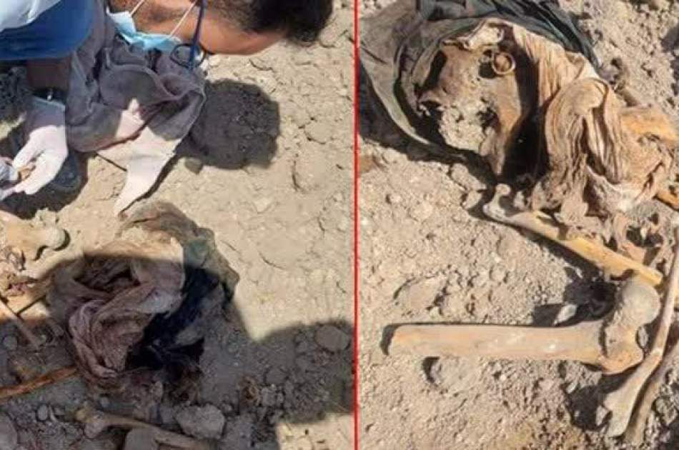 Discovery of a mass grave of Shia martyrs in Iraq