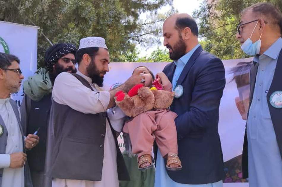 افتتاح دور سوم کارزار واکسین پولیو در هرات