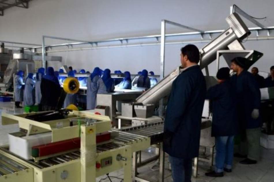 Ministry of Industry: We have reached self-sufficiency in fifty products