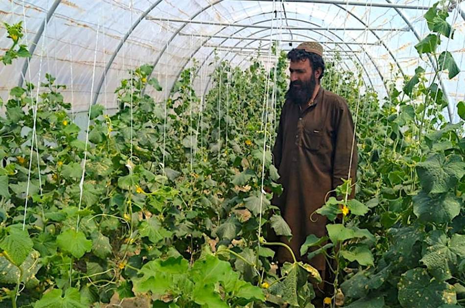Agriculture minister says sector will only grow if its mechanized