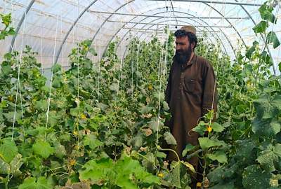 Agriculture minister says sector will only grow if its mechanized