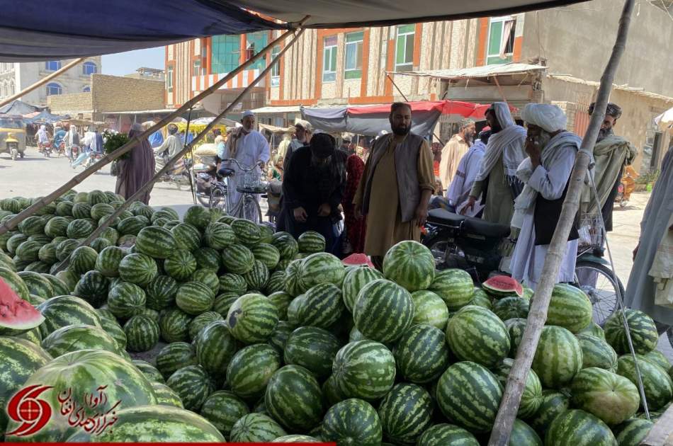 رونق بازار هندوانه در قندهار