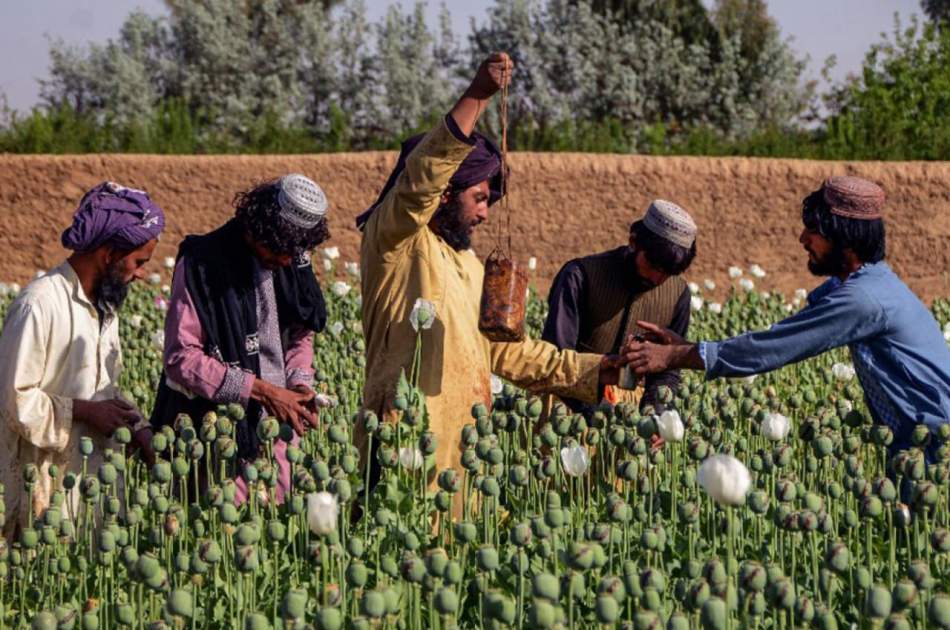 بارازهای اصلی خرید و فروش مواد مخدر در بیرون از مرزهای افغانستان قرار دارد