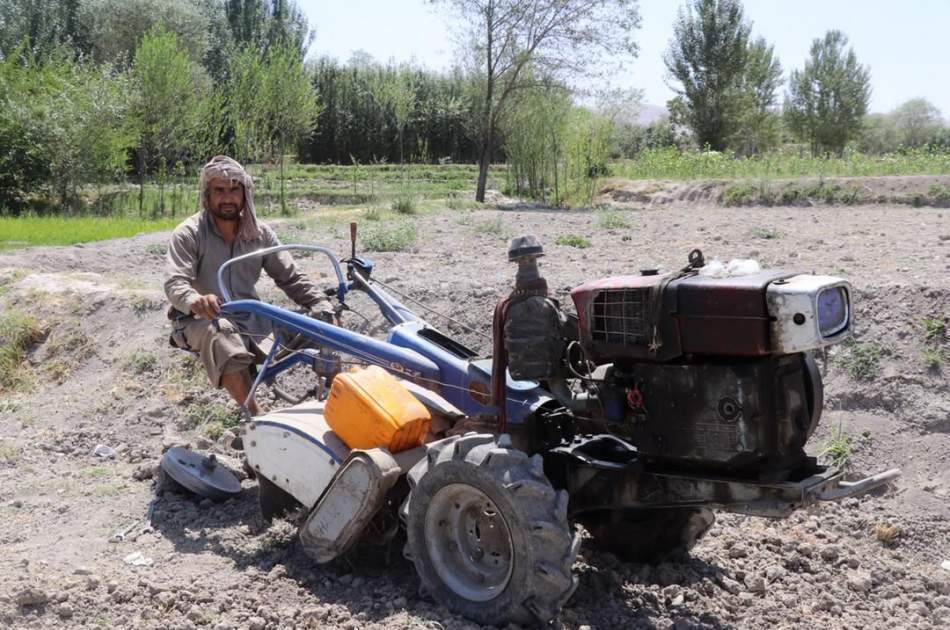 Clearing more than 300 acres of land from drug cultivation in Balkh province